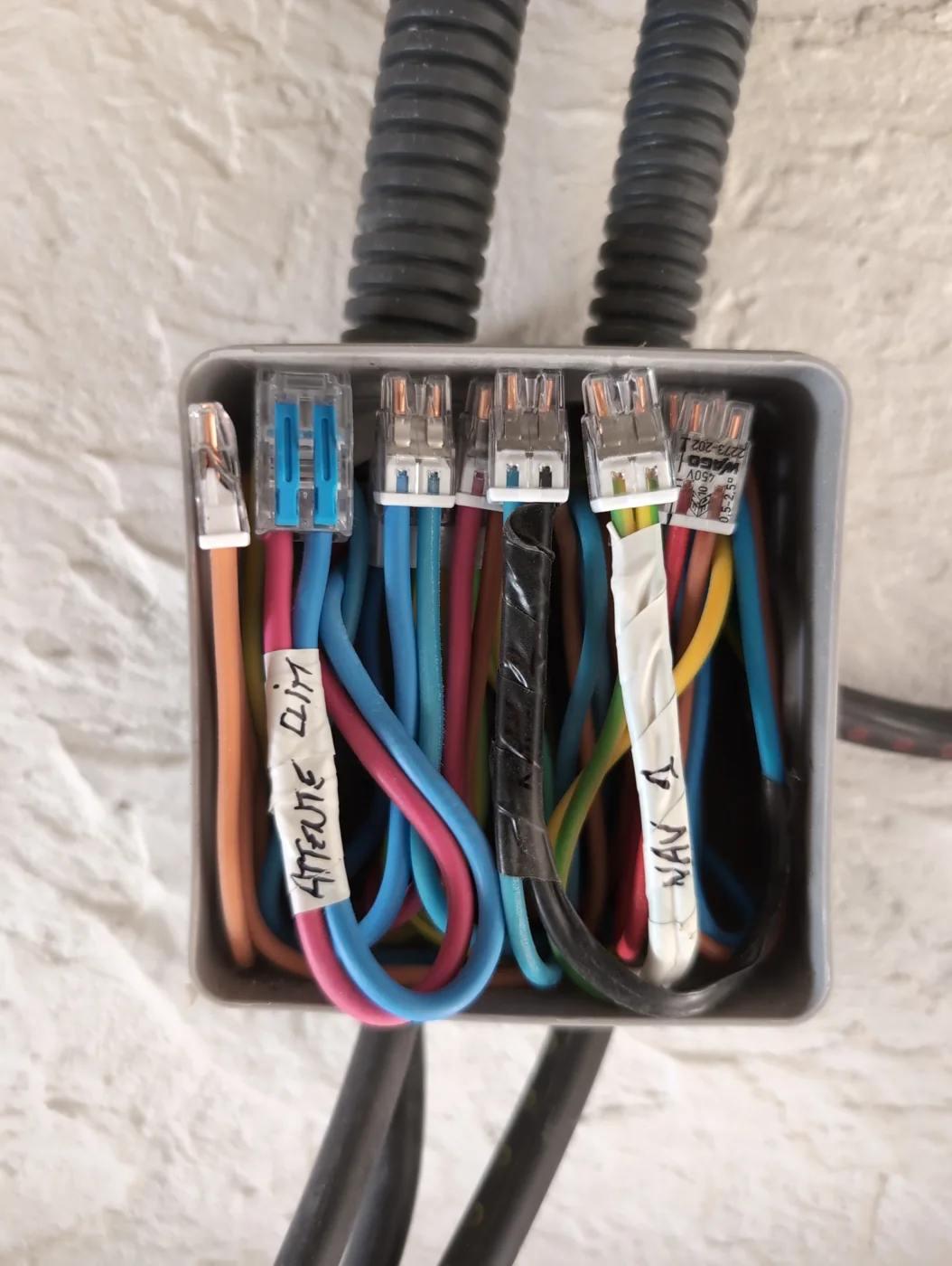 Conducteurs organisés et raccordés dans une boîte de dérivation sur un chantier de rénovation.